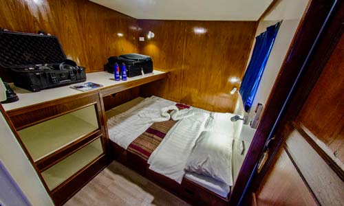 Smiling Seahorse Deluxe Double Bed Cabin